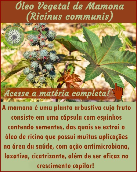 Óleo vegetal de mamona