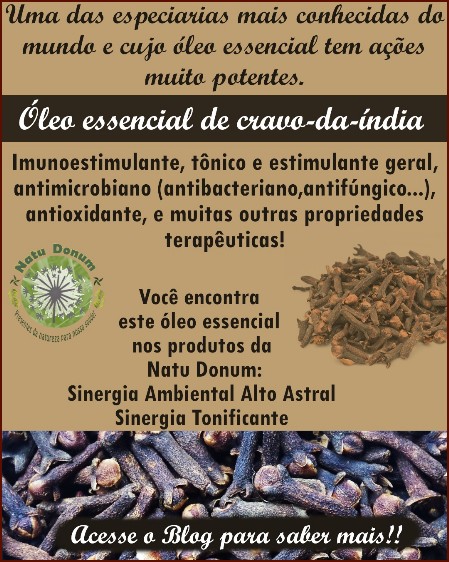 Blog óleo essencial de cravo-da-índia
