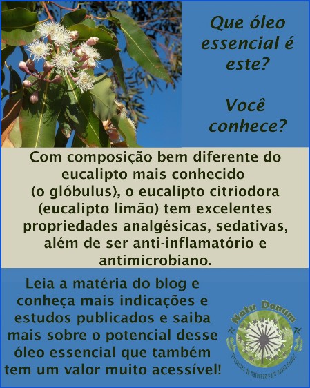 Óleo essencial de eucalipto citriodora