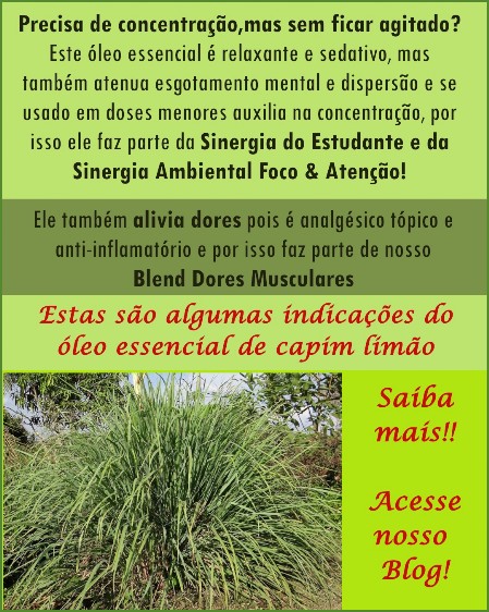 Blog Óleo essencial de capim limão