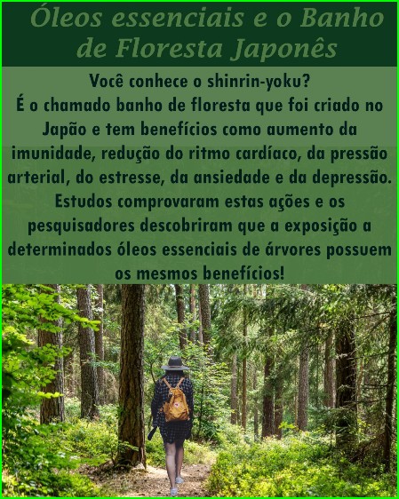 Óleos essenciais e o Banho de Floresta Japonês