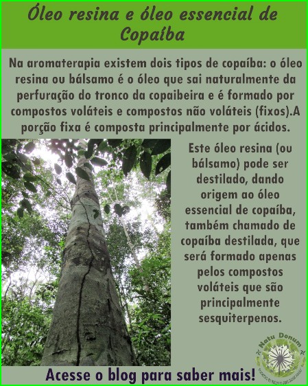 Óleo resina e óleo essencial de copaíba