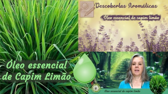 Óleo essencial de capim limão