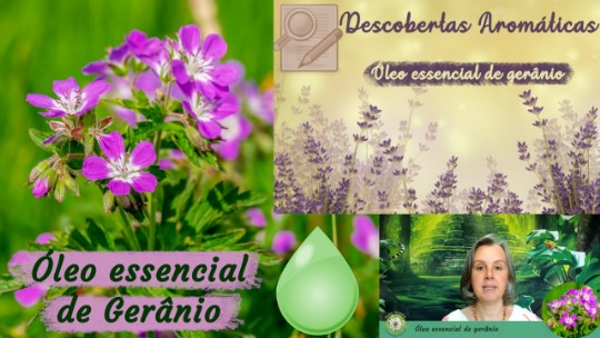 Óleo essencial de Gerânio