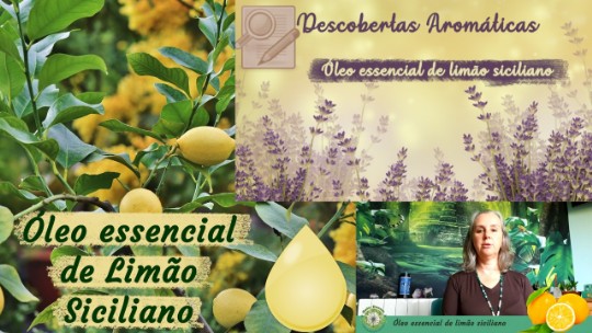 Óleo essencial de limão siciliano