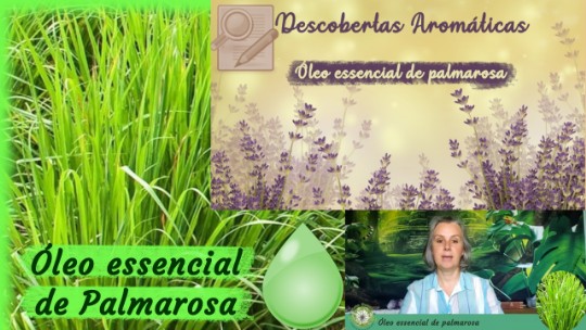 Óleo essencial de palmarosa