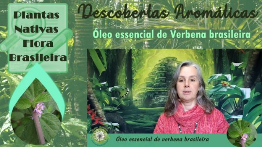Óleo essencial de verbena brasileira