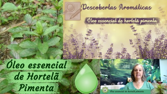 Óleo essencial de hortelã pimenta