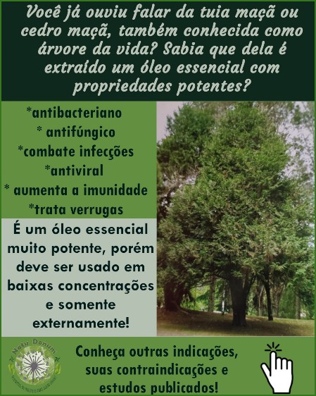Óleo essencial de tuia maçã