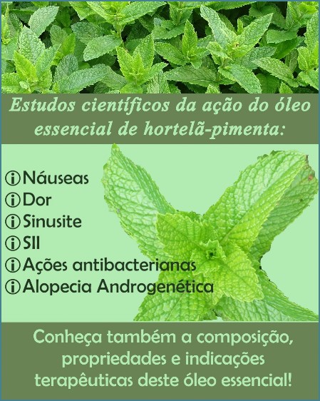 Blog óleo essencial de  Hortelã-pimenta
