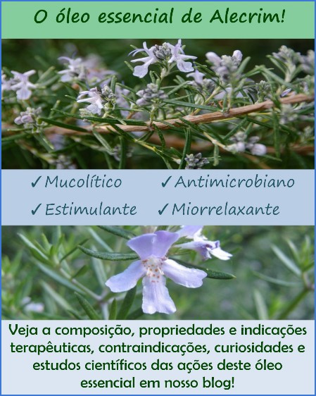 Óleo essencial de alecrim