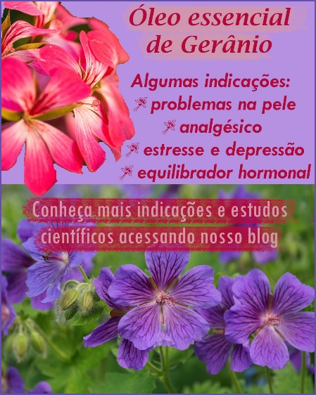 Blog Óleo essencial gerânio