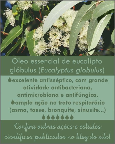 Óleo essencial de Eucalyptus globulus