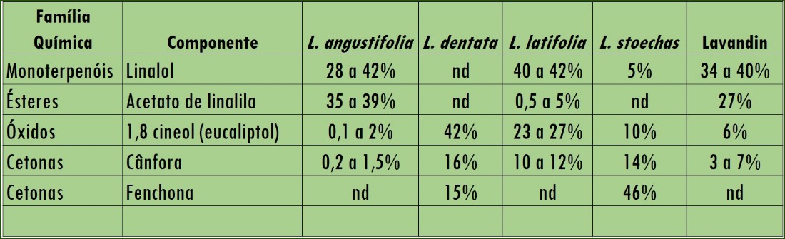 Composição química OEs de lavandas
